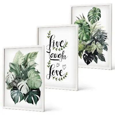 Leafy plants live laugh love wall art three-piece set