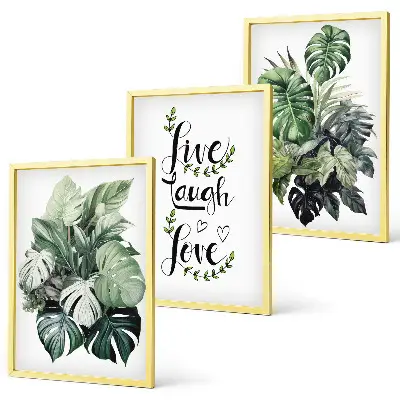 Leafy plants live laugh love wall art three-piece set