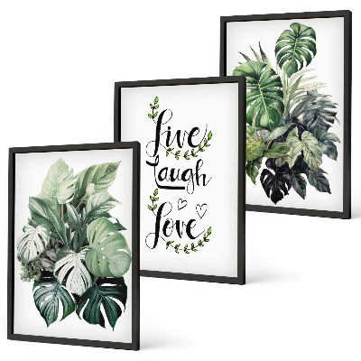 Three-piece wall art piece Leafy plants live laugh love
