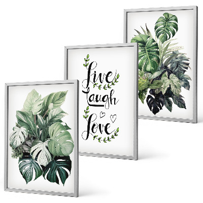 Three-piece wall art piece Leafy plants live laugh love