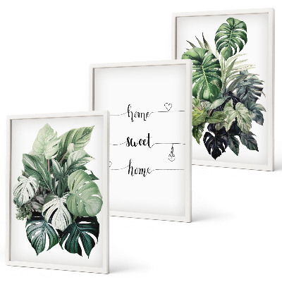 Set of 3 framed wall art pieces Watercolor Monstera Leaves