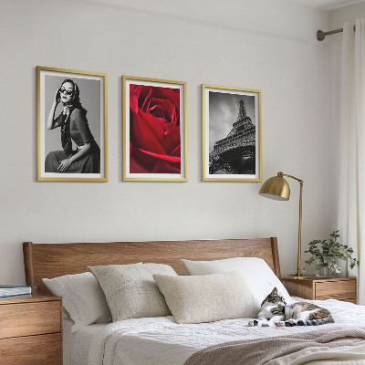Wall art set Parisian lady with Eiffel glasses