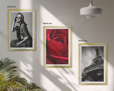 Wall art set Parisian lady with Eiffel glasses