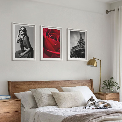 Wall art set Parisian lady with Eiffel glasses