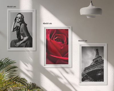 Wall art set Parisian lady with Eiffel glasses