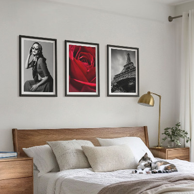 Wall art set Parisian lady with Eiffel glasses