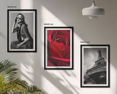 Wall art set Parisian lady with Eiffel glasses