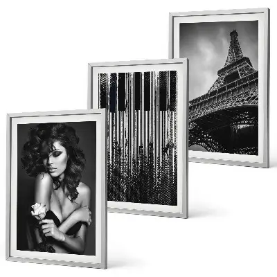 Portrait of a Woman with an Eiffel Rose three-piece wall art set