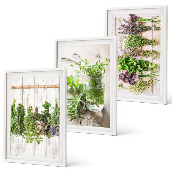 Wall art set Herbs plants for the kitchen