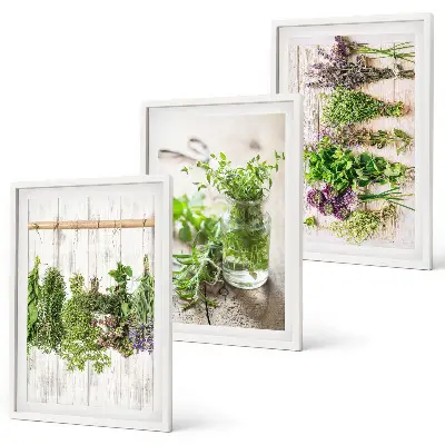 Herbs and plants wall art set for the kitchen