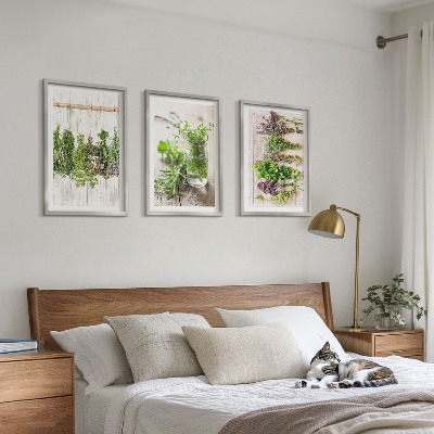 Wall art set Herbs plants for the kitchen
