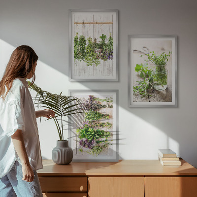 Wall art set Herbs plants for the kitchen