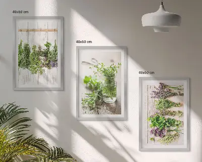 Herbs and plants wall art set for the kitchen