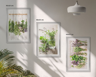 Wall art set Herbs plants for the kitchen