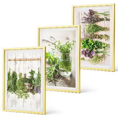 Herbs and plants wall art set for the kitchen