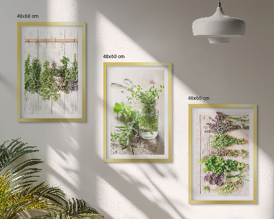Wall art set Herbs plants for the kitchen