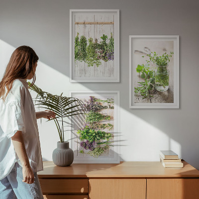 Wall art set Herbs plants for the kitchen