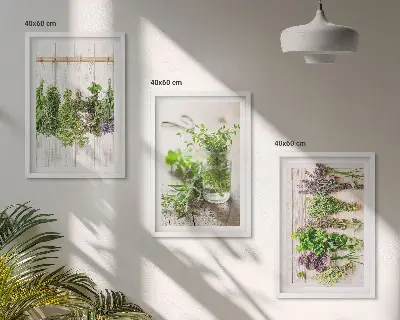 Herbs and plants wall art set for the kitchen