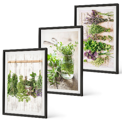 Wall art set Herbs plants for the kitchen