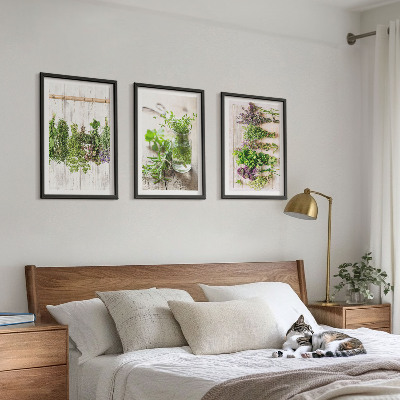 Wall art set Herbs plants for the kitchen
