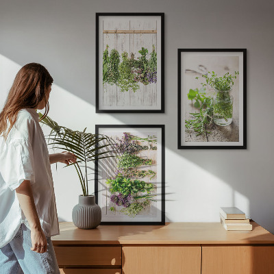 Wall art set Herbs plants for the kitchen
