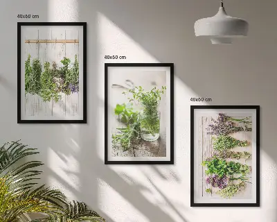 Herbs and plants wall art set for the kitchen