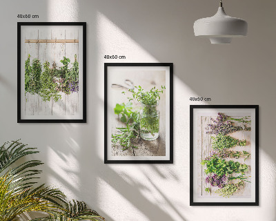 Wall art set Herbs plants for the kitchen