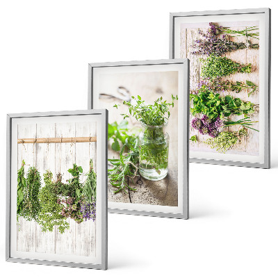 Wall art set Herbs plants for the kitchen