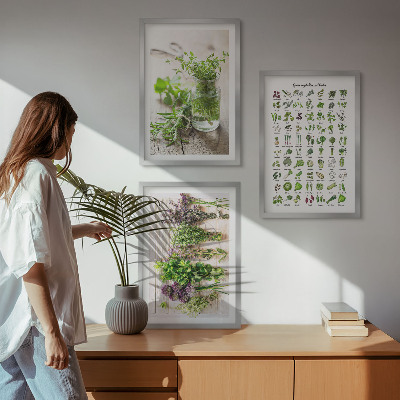 Three-piece wall art piece Dried herbs for the kitchen