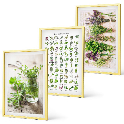 Three-piece wall art piece Dried herbs for the kitchen