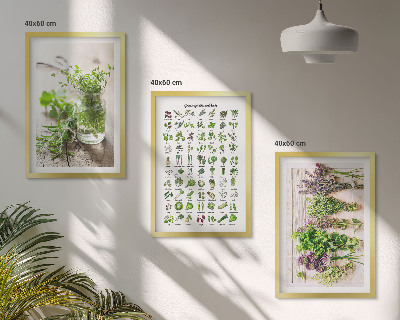 Three-piece wall art piece Dried herbs for the kitchen