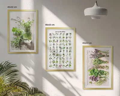 Dried herbs kitchen wall art three-piece set