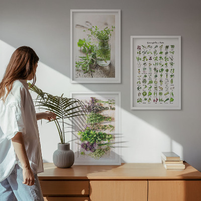Three-piece wall art piece Dried herbs for the kitchen