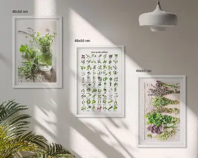 Dried herbs kitchen wall art three-piece set