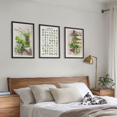 Three-piece wall art piece Dried herbs for the kitchen