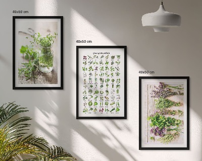 Three-piece wall art piece Dried herbs for the kitchen