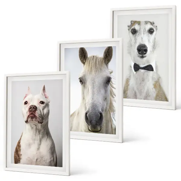 Set of 3 framed wall art pieces featuring elegant portraits of dogs and horses