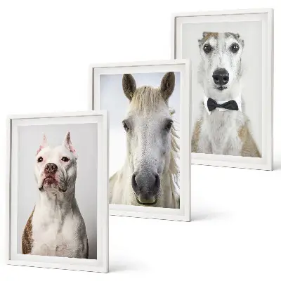 Set of 3 framed wall art pieces featuring elegant portraits of dogs and horses