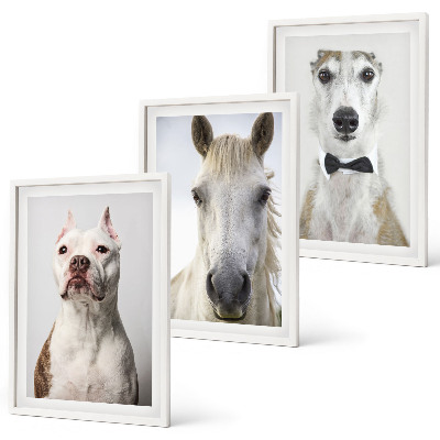 Set of 3 framed wall art pieces Portraits of dogs and horses elegantly
