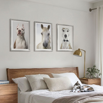 Set of 3 framed wall art pieces Portraits of dogs and horses elegantly