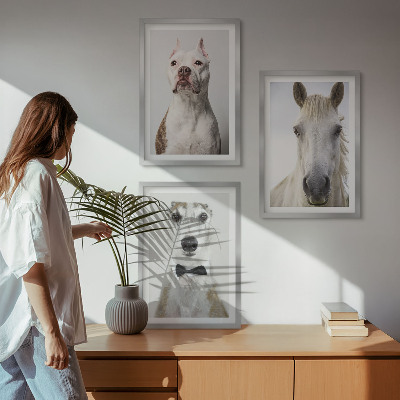 Set of 3 framed wall art pieces Portraits of dogs and horses elegantly