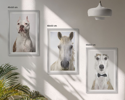 Set of 3 framed wall art pieces Portraits of dogs and horses elegantly