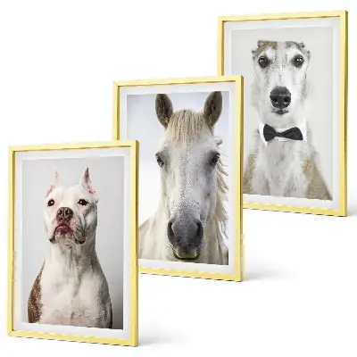 Set of 3 framed wall art pieces featuring elegant portraits of dogs and horses
