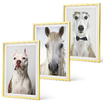 Set of 3 framed wall art pieces Portraits of dogs and horses elegantly
