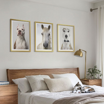 Set of 3 framed wall art pieces Portraits of dogs and horses elegantly