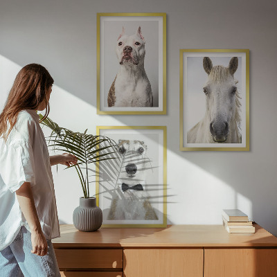 Set of 3 framed wall art pieces Portraits of dogs and horses elegantly