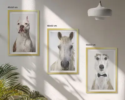 Set of 3 framed wall art pieces featuring elegant portraits of dogs and horses