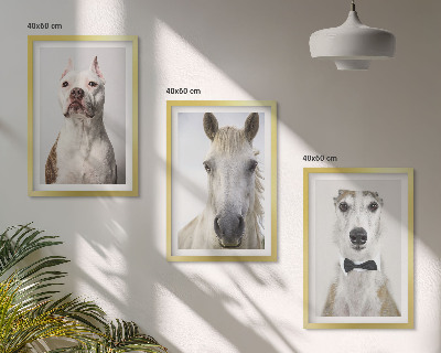 Set of 3 framed wall art pieces Portraits of dogs and horses elegantly