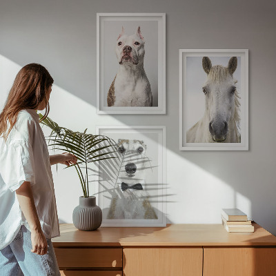 Set of 3 framed wall art pieces Portraits of dogs and horses elegantly