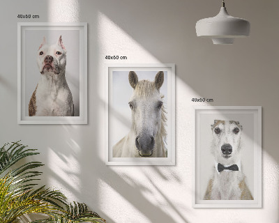 Set of 3 framed wall art pieces Portraits of dogs and horses elegantly